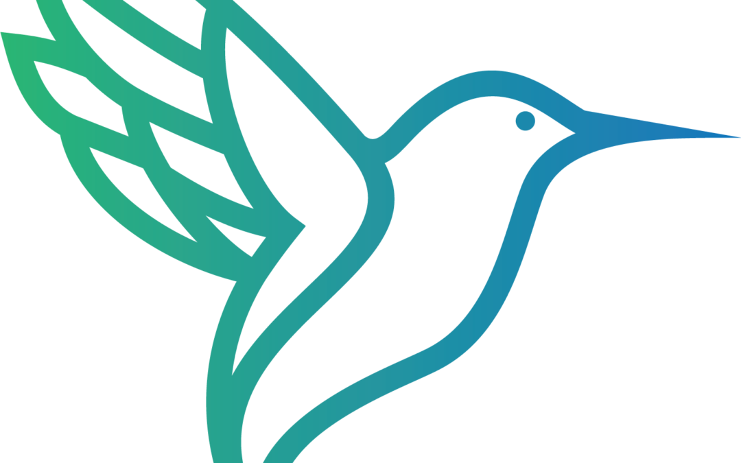 Hummingbird:  Exciting New Research
